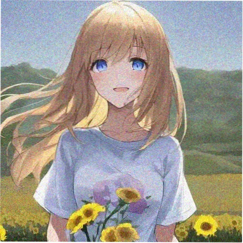 慢镜收藏家 头像